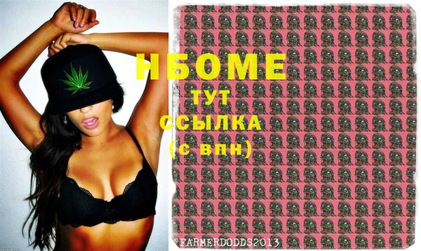 индика Аркадак