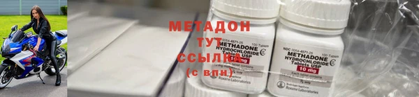 индика Аркадак