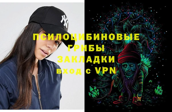 синтетический гашиш Новодвинск