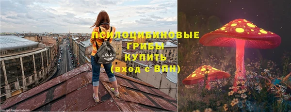 синтетический гашиш Новодвинск