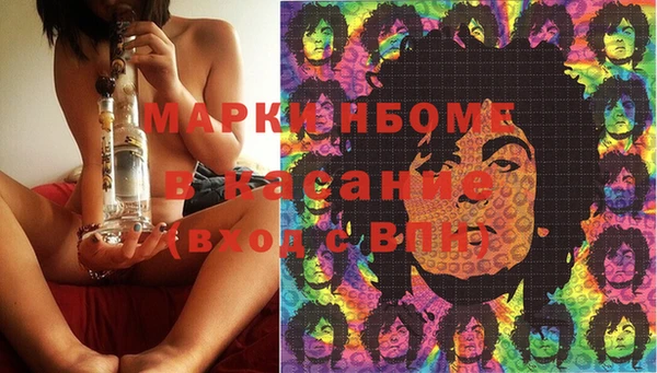 индика Аркадак