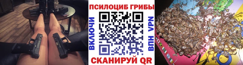 Галлюциногенные грибы Psilocybe  Сорочинск 